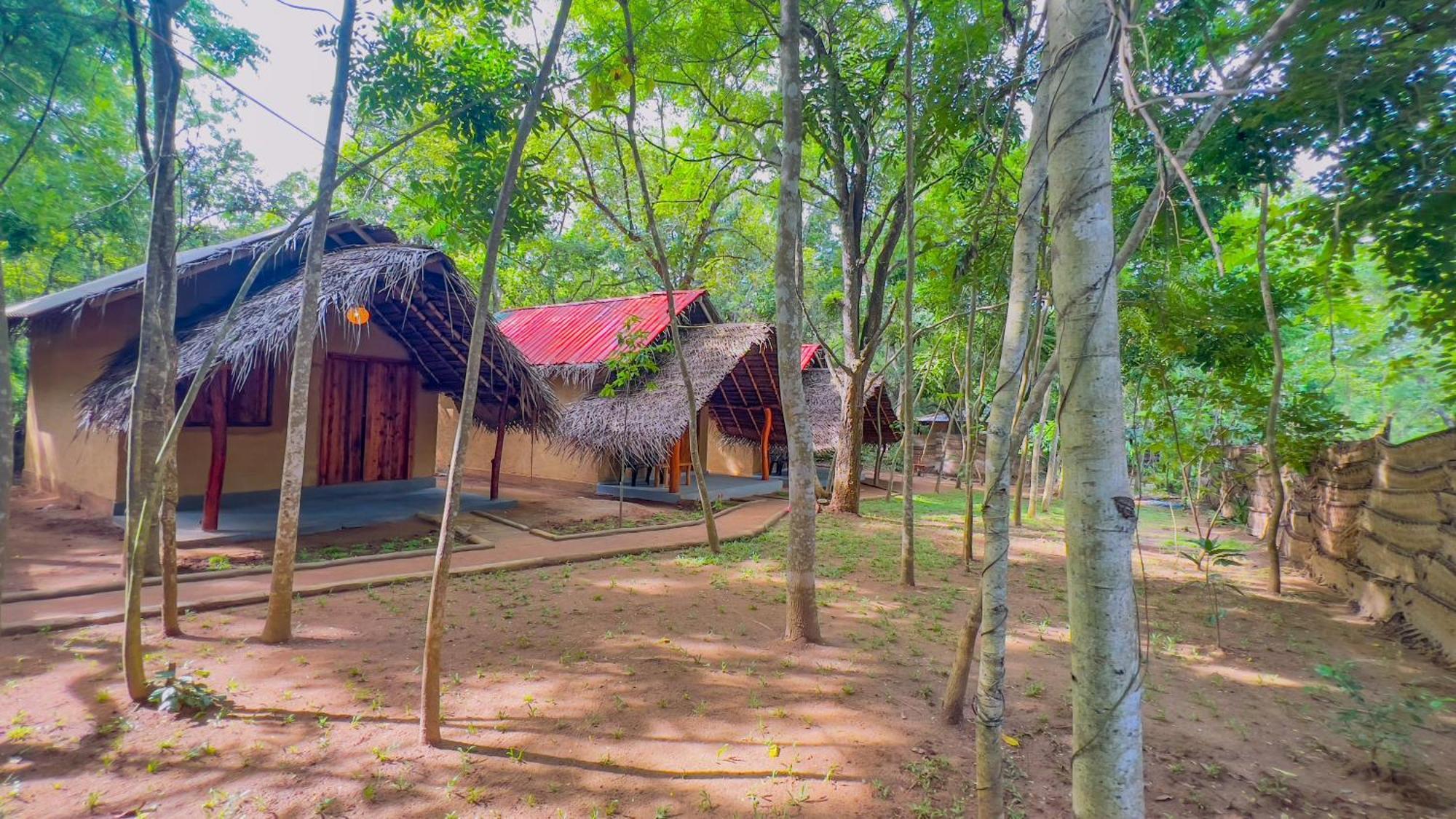 Jungle Host Hostel And Tree House Sigiriya Exterior foto