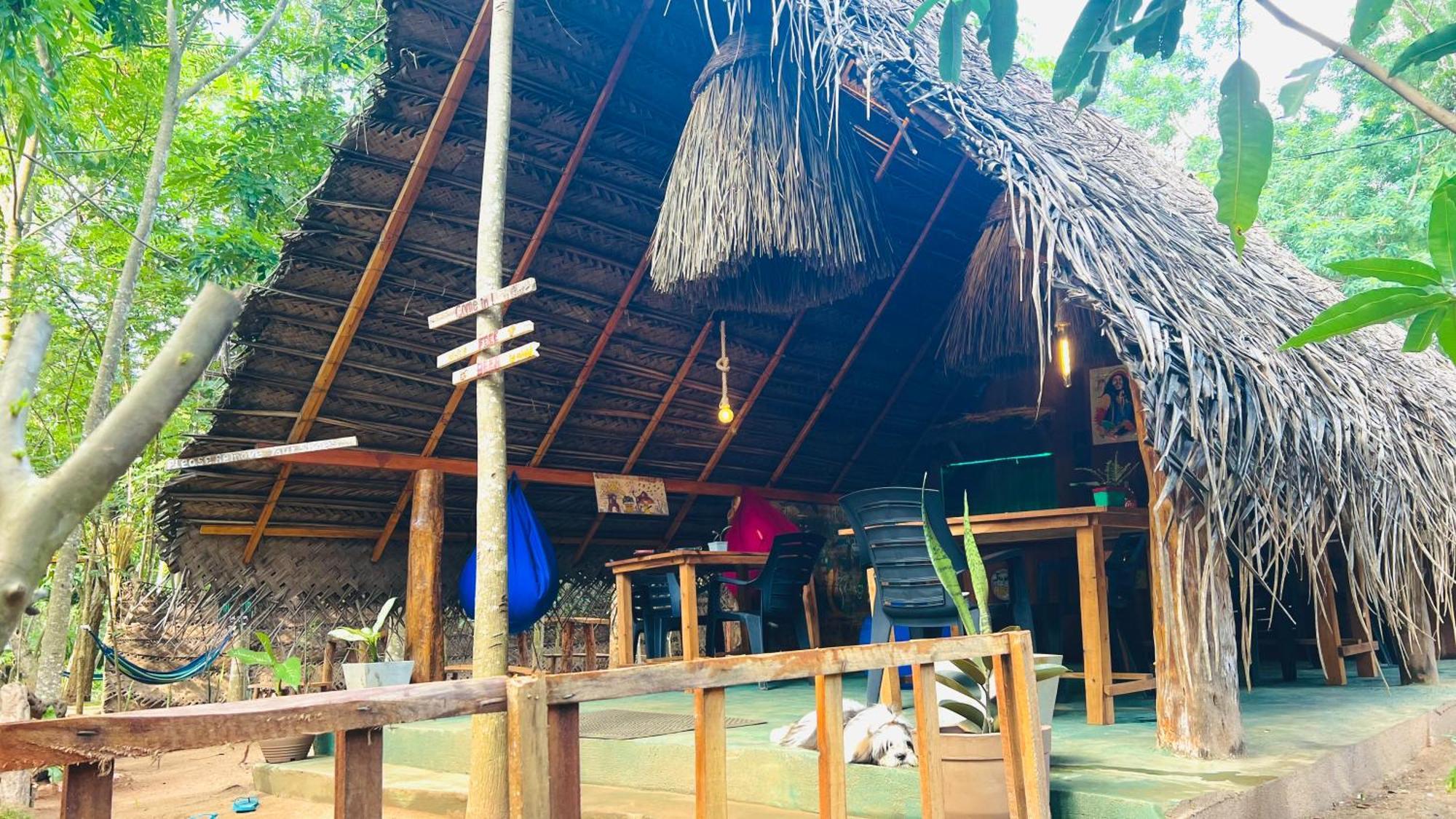 Jungle Host Hostel And Tree House Sigiriya Exterior foto