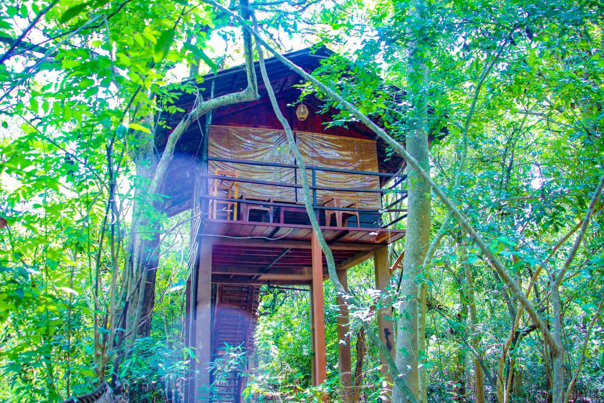 Jungle Host Hostel And Tree House Sigiriya Exterior foto